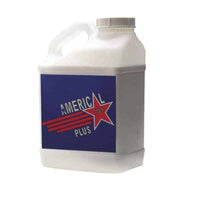Americal Plus Lens Polish - 5 Gallon