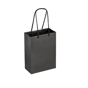 Boutique Shopping Bags Black - Laminated (Small) [Min. Order Qty: 100 Bags]