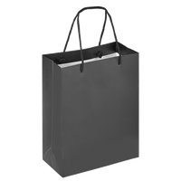Boutique Shopping Bags Black - Laminated (Large) [Min. Order Qty: 100 Bags]