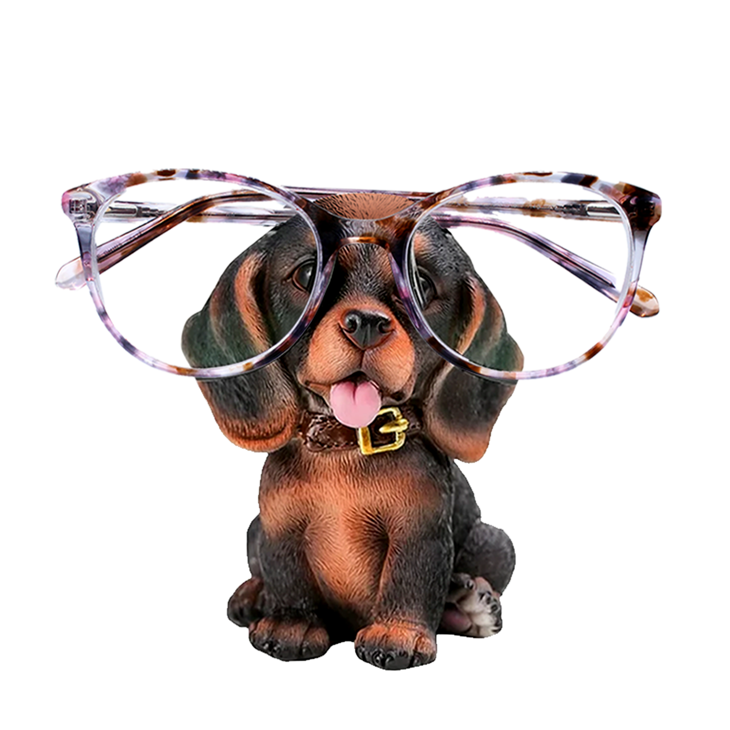 Pet Eyeglass Holders