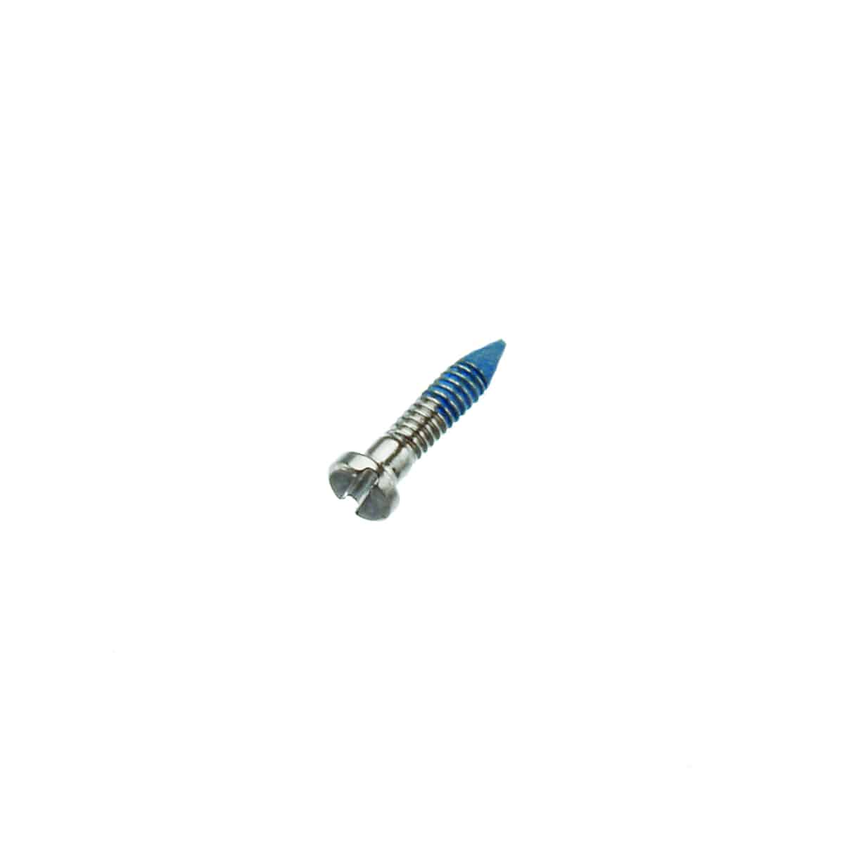 Silver Pointed Hinge Screw